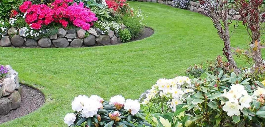 The Marvellous Benefits of Mulching in Your Garden