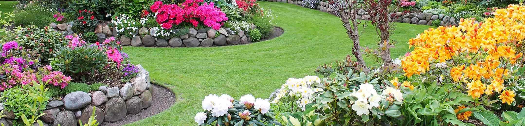 garden with borders