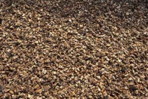 pine ornamental bark pure pine glasgow lanarkshire