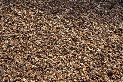 pine ornamental bark pure pine glasgow lanarkshire